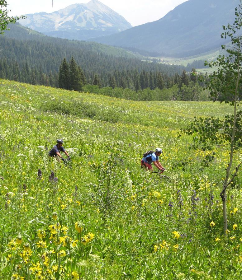 Purple Mountain Bed & Breakfast & Spa Crested Butte Exterior foto